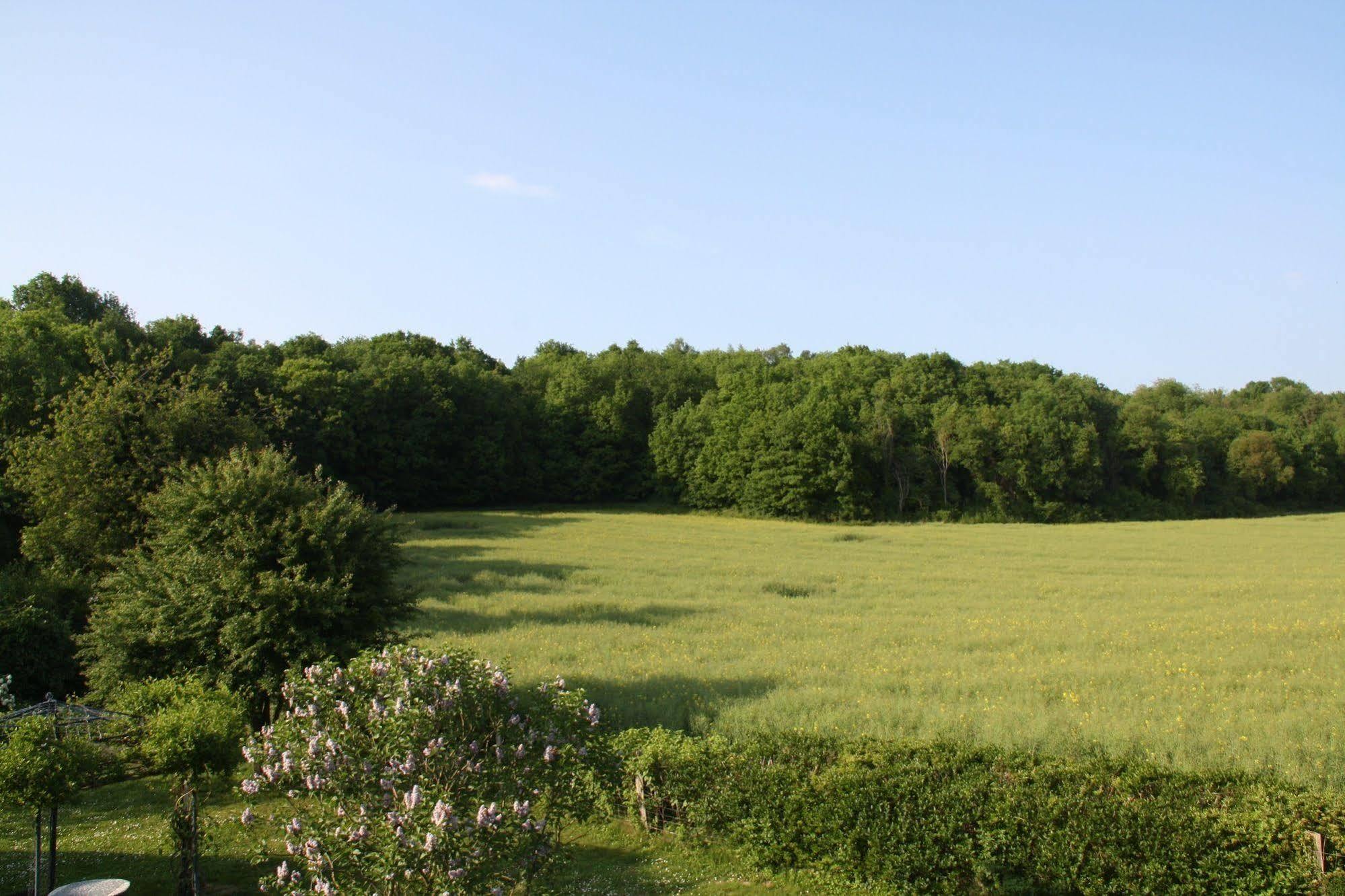 La Raimbaudiere Bed & Breakfast Guigneville-sur-Essonne Exterior foto