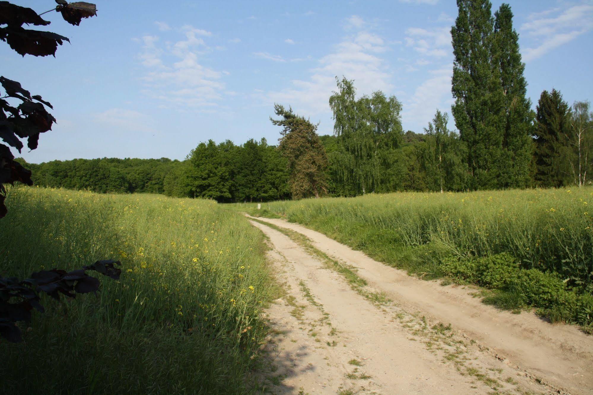 La Raimbaudiere Bed & Breakfast Guigneville-sur-Essonne Exterior foto